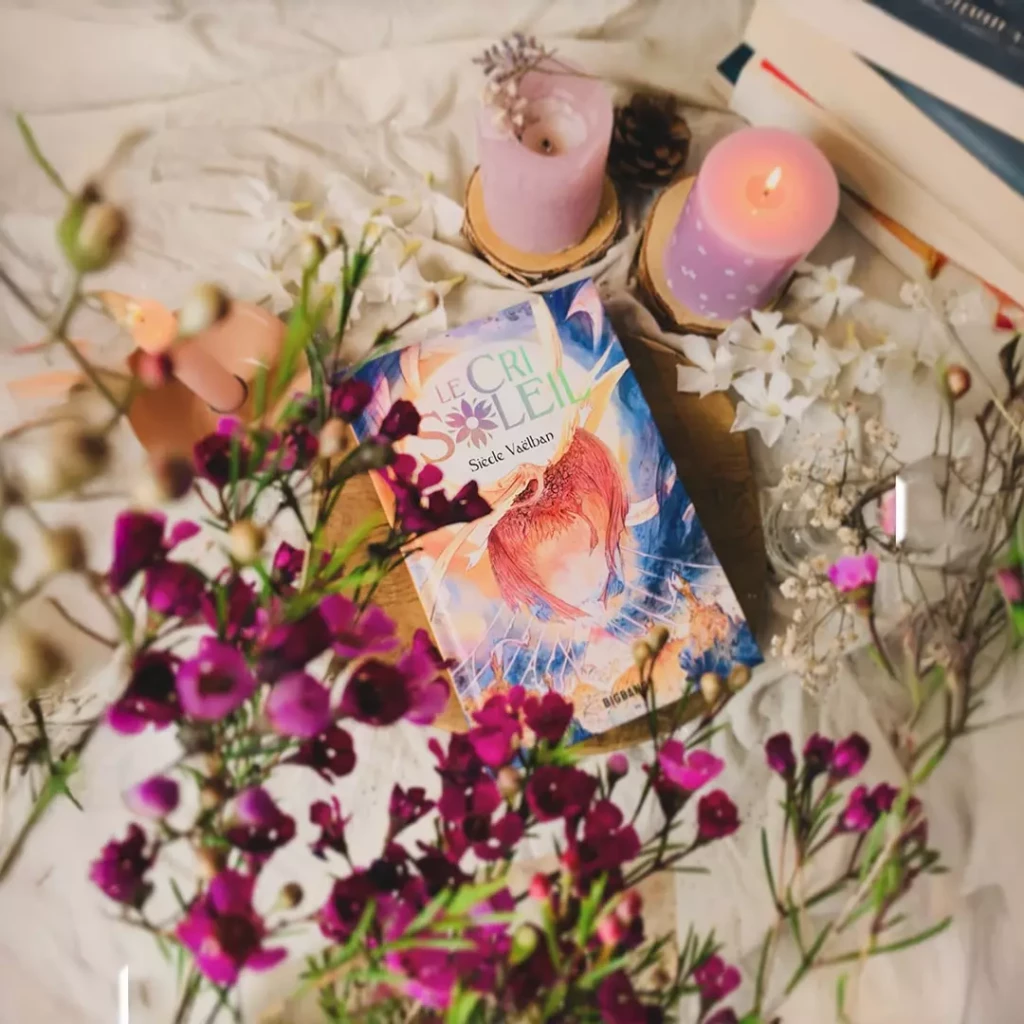 Couverture du roman Le cri soleil de Siècle Vaëlban