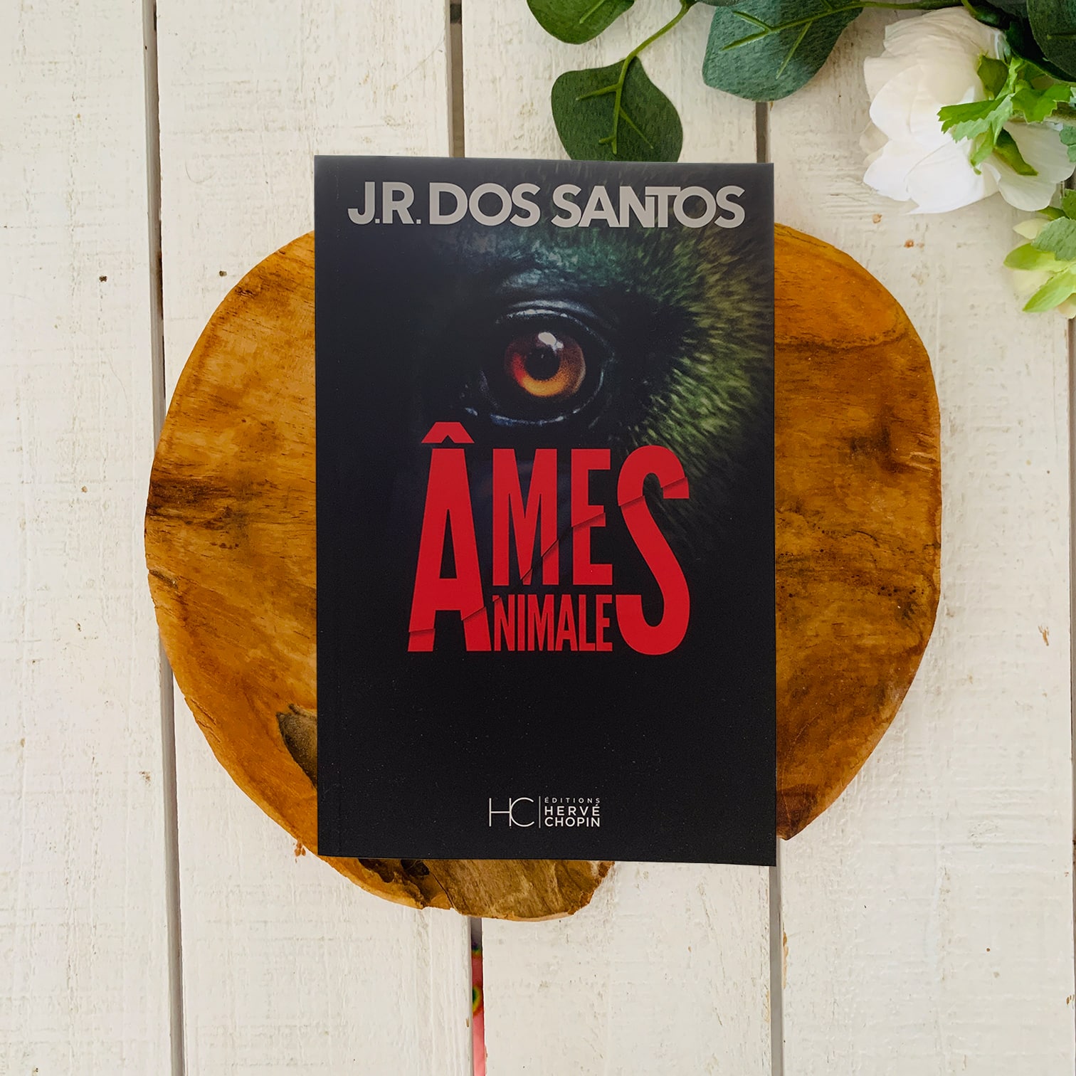Âmes animales - JR Dos Santos